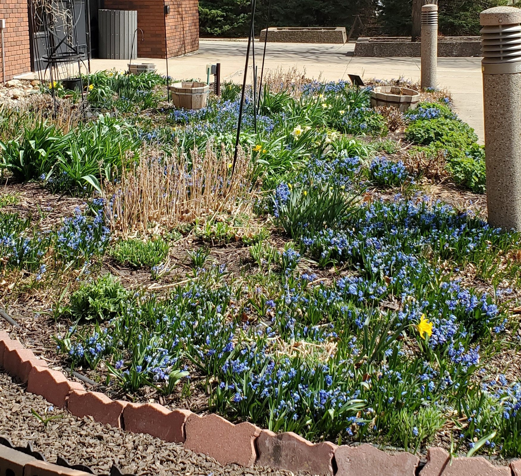 April 2021 garden