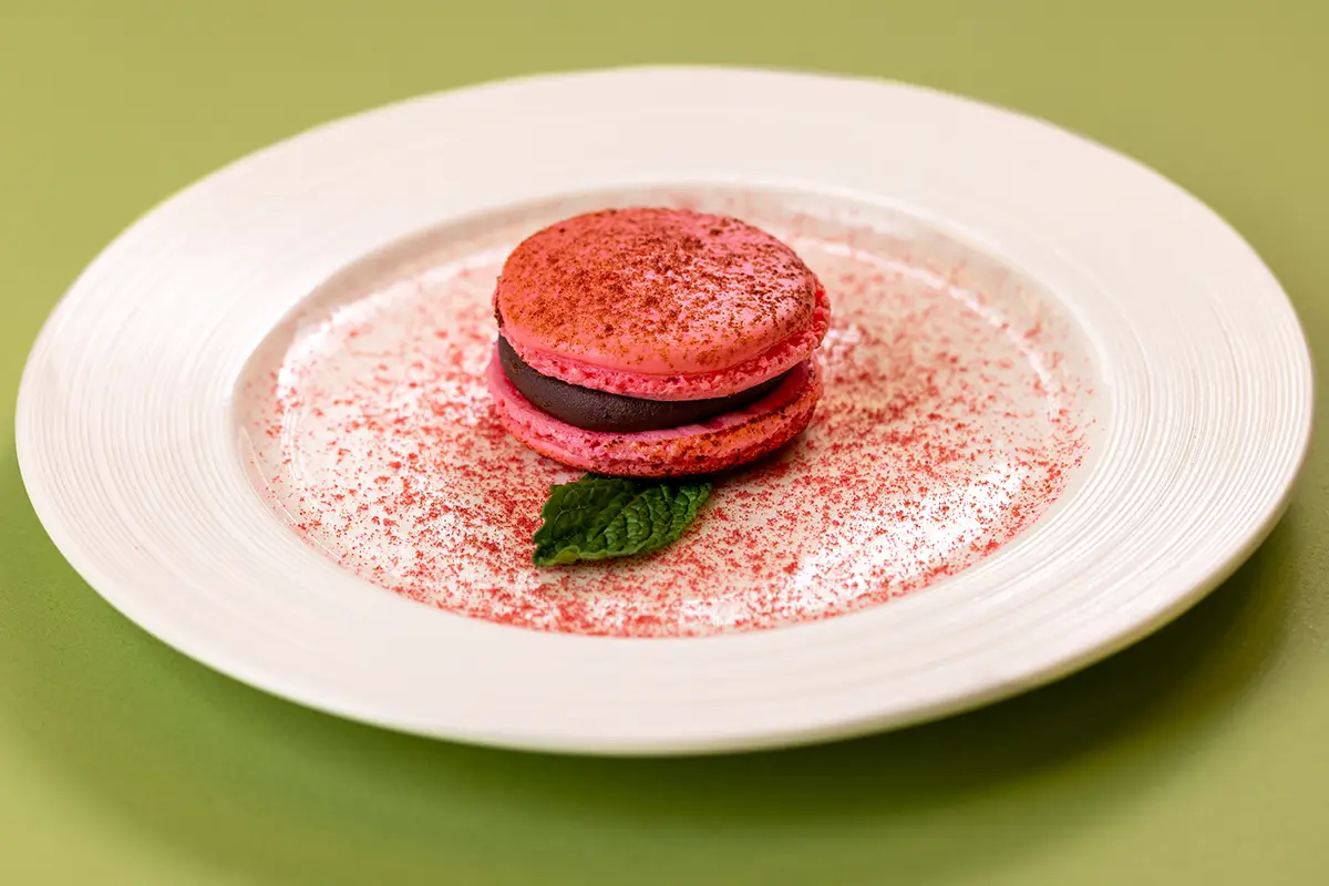 raspberry chocolate macarons