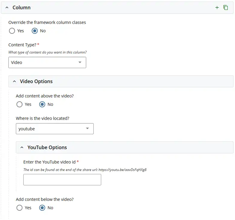 video component options