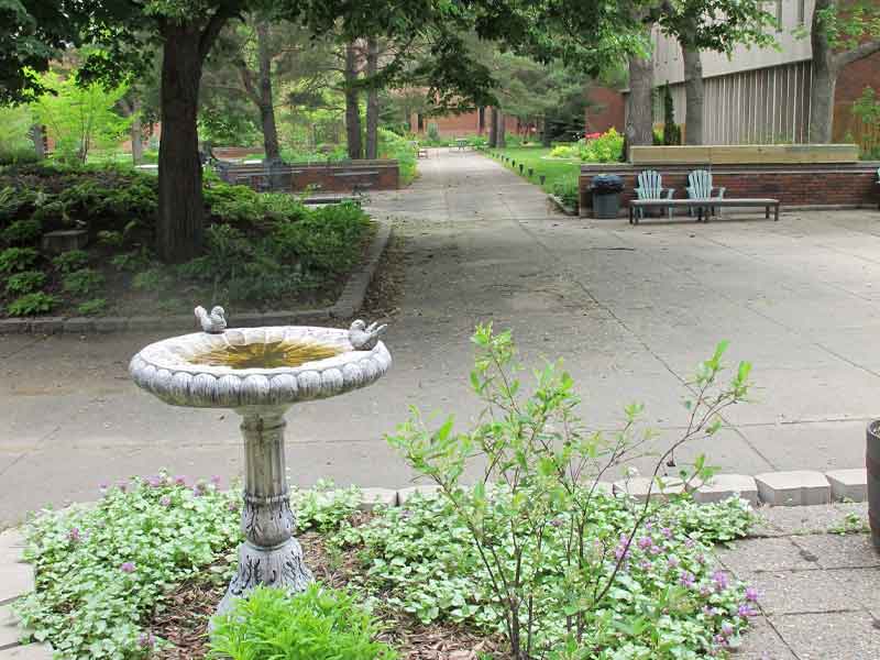 Birdbath in the garden