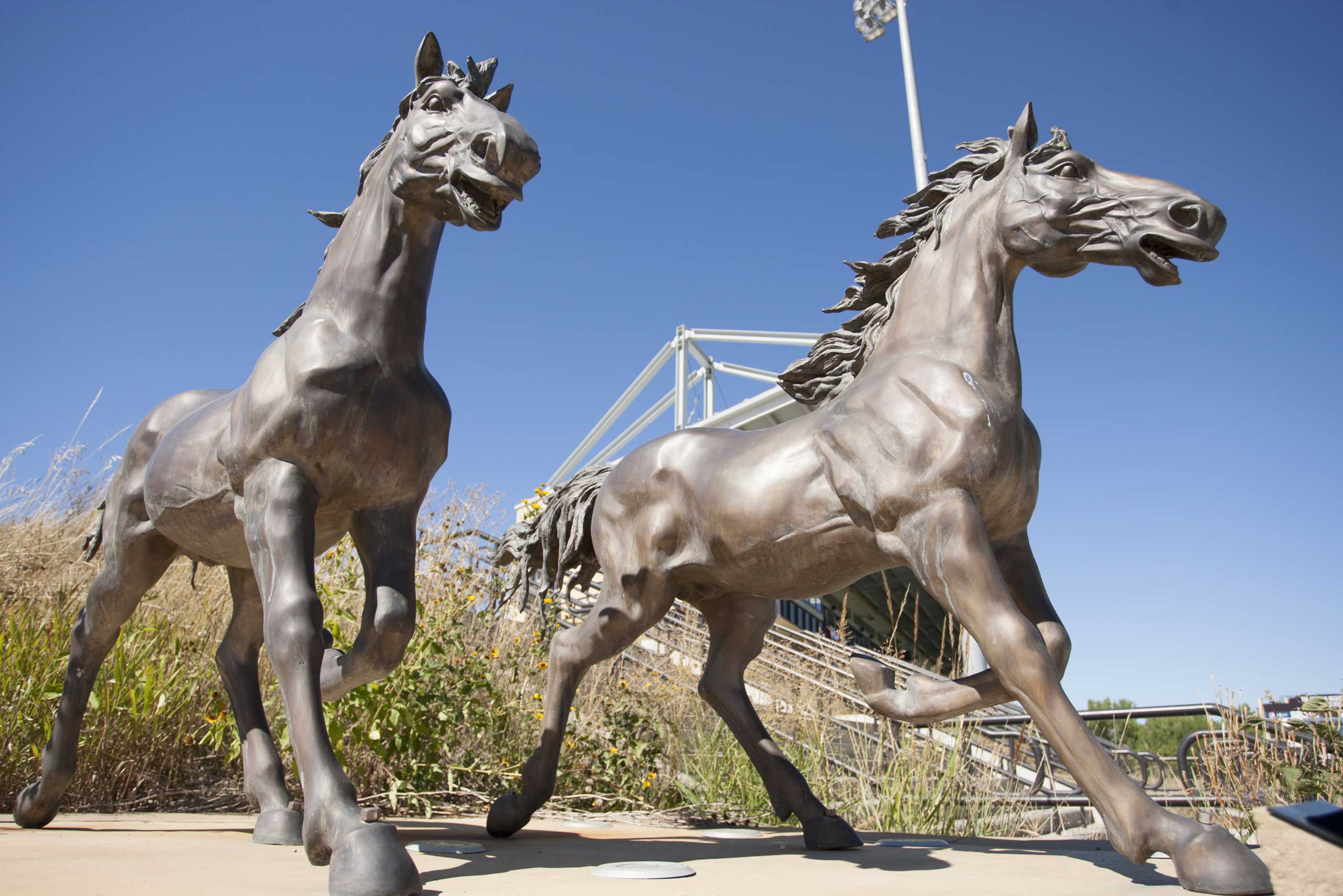 SMSU to get $1.2M from State Bonding Bill Article Photo